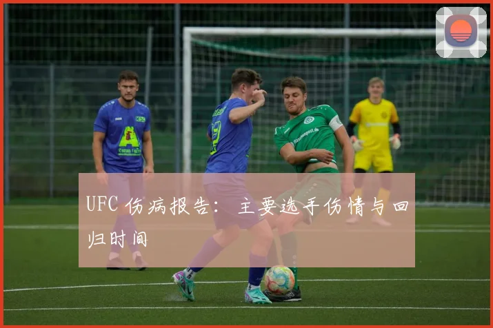 UFC 伤病报告：主要选手伤情与回归时间