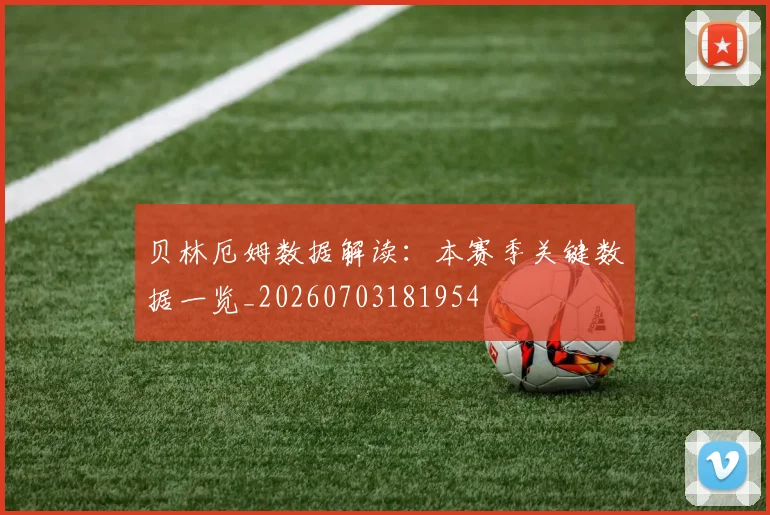 贝林厄姆数据解读:本赛季关键数据一览_20260703181954