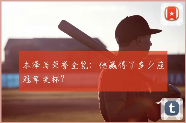 本泽马荣誉全览：他赢得了多少座冠军奖杯？